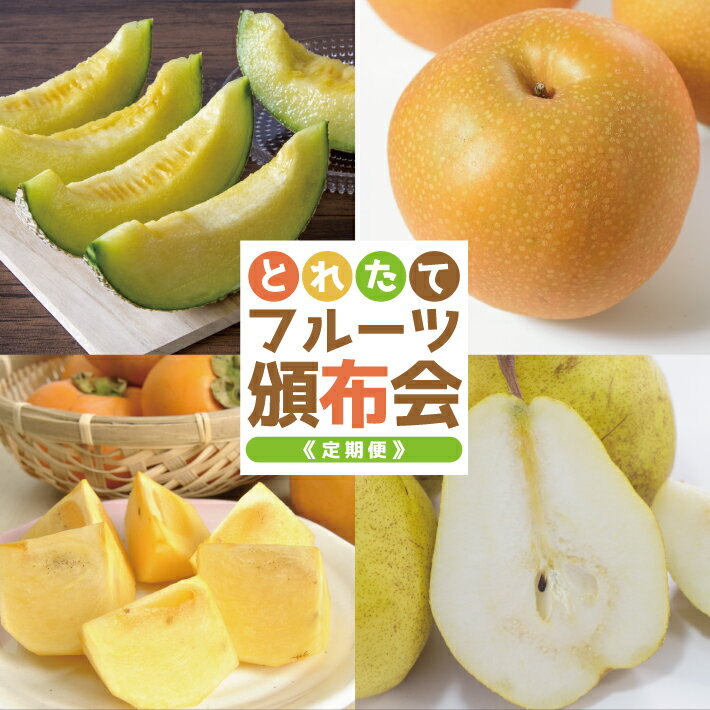 ≪4回定期便≫ とれたて！フルーツ頒布会2026 6月下旬〜8月上旬「アンデスメロン（青肉）約3kg」 8月下旬〜9月下旬「和梨 約3kg」 10月中旬〜11月中旬「庄内柿（種なし柿）約3kg」11月上旬〜12月上旬「ラ・フランス 約3kg」 山形県酒田産 ※着日指定不可