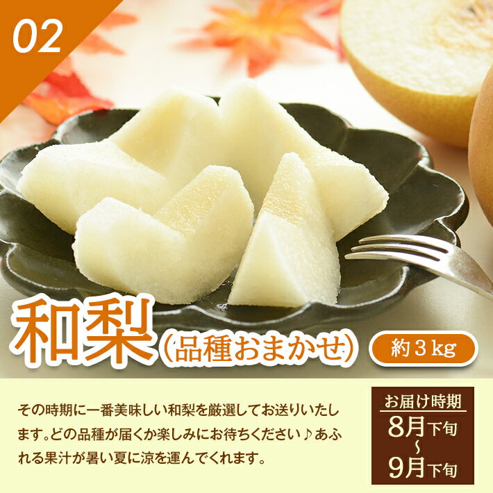 【ふるさと納税】≪4回定期便≫ とれたて！フルーツ頒布会2026 6月下旬〜8月上旬「アンデスメロン（青肉）約3kg」 8月下旬〜9月下旬「和梨 約3kg」 10月中旬〜11月中旬「庄内柿（種なし柿）約3kg」11月上旬〜12月上旬「ラ・フランス 約3kg」 山形県酒田産 ※着日指定不可 サムネイル3