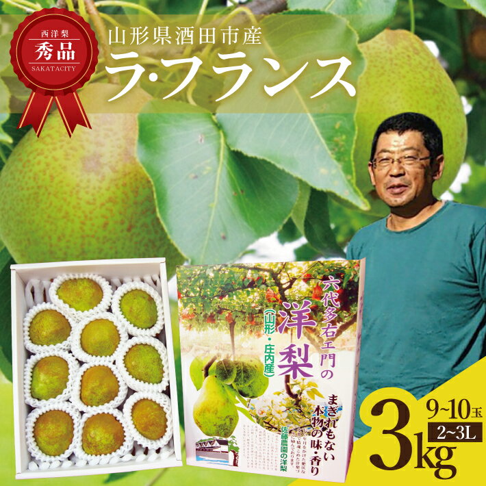 西洋梨 ラ・フランス 秀品 2L～3L 約3kg（9〜10玉）化粧箱入り 山形県酒田産 11月中旬〜12月上旬頃お届け ※着日指定不可 東北 山形県 酒田市 庄内地方 六代多右ェ門 ラフランス