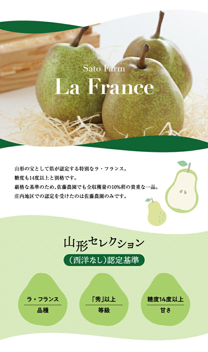 【ふるさと納税】西洋梨 特選 ラ・フランス 2L～3L 約3kg（9〜10玉）山形セレクション 化粧箱入り 山形県酒田産 11月中旬〜12月上旬頃お届け ※着日指定不可 東北 山形県 酒田市 庄内地方 六代多右ェ門 ラフランス サムネイル2
