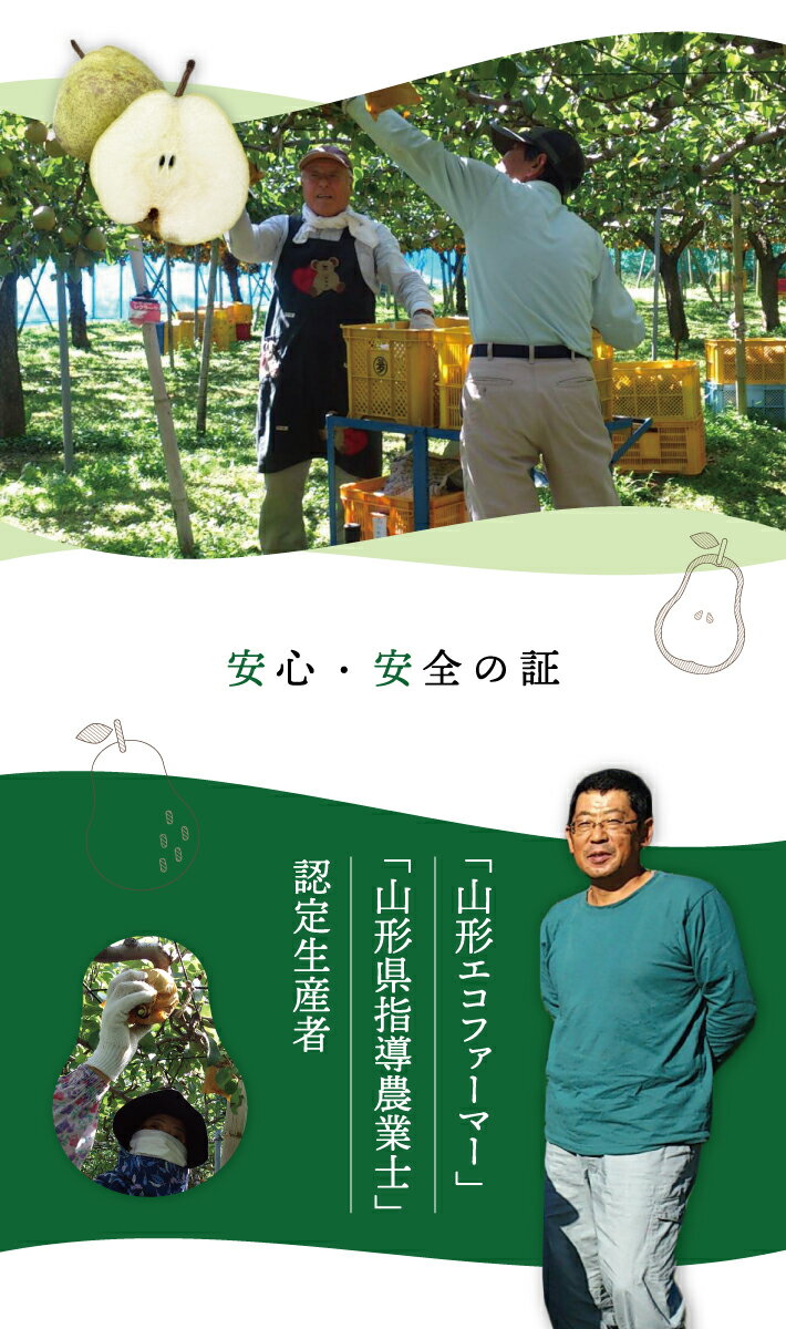 【ふるさと納税】西洋梨 特選 ラ・フランス 2L～3L 約3kg（9〜10玉）山形セレクション 化粧箱入り 山形県酒田産 11月中旬〜12月上旬頃お届け ※着日指定不可 東北 山形県 酒田市 庄内地方 六代多右ェ門 ラフランス サムネイル3