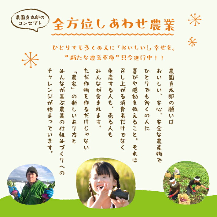 【ふるさと納税】SHONAI PRIDE 季節のこだわり野菜セット 野菜7〜8品 冷蔵便 ※離島発送・着日指定不可 - 画像2