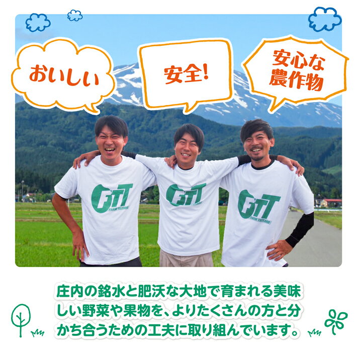 【ふるさと納税】SHONAI PRIDE 季節のこだわり野菜セット 野菜7〜8品 冷蔵便 ※離島発送・着日指定不可 - 画像3