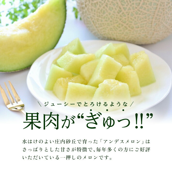 【ふるさと納税】庄内砂丘特産 アンデスメロン 秀品 4〜6玉 約5kg 6月下旬〜7月下旬頃お届け ※着日指定不可 メロン 青肉メロン 果物 くだもの フルーツ 旬 夏 緑 砂丘メロン 東北 山形県 酒田市 庄内 - 画像2