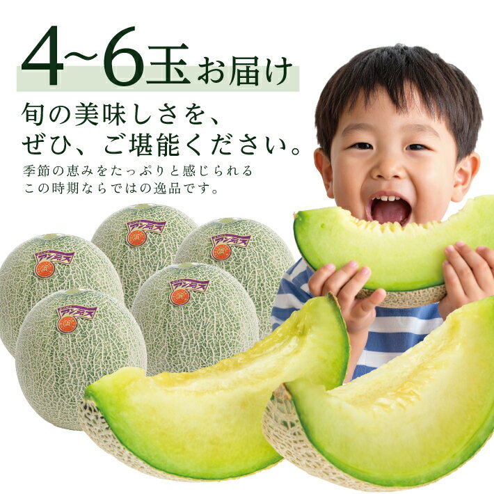 【ふるさと納税】庄内砂丘特産 アンデスメロン 秀品 4〜6玉 約5kg 6月下旬〜7月下旬頃お届け ※着日指定不可 メロン 青肉メロン 果物 くだもの フルーツ 旬 夏 緑 砂丘メロン 東北 山形県 酒田市 庄内 - 画像3