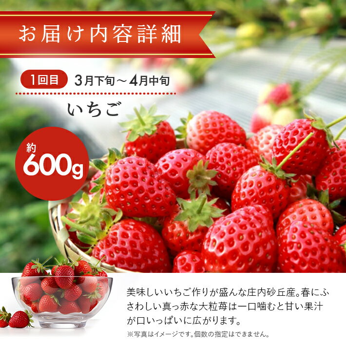 【ふるさと納税】≪3回定期便≫ おいしい酒田 マルっとお届け便2026(1) 3月下旬〜4月中旬:いちご 6月下旬〜7月下旬:紅花メロン 8月中旬〜10月中旬:刈屋梨(和梨) 計3回 ※離島発送・着日指定不可 頒布会 苺 赤肉メロン なし くだもの 果物 フルーツ 山形 酒田 春 夏 秋 冬 サムネイル3