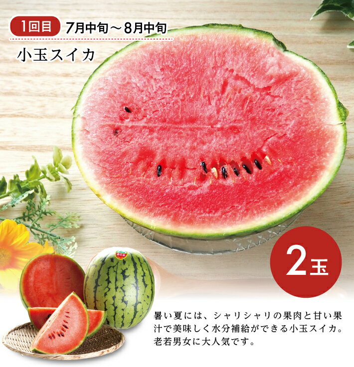 【ふるさと納税】≪3回定期便≫ 庄内の美味しい果物お届け便2026 7月中旬〜8月中旬：小玉すいか 8月下旬〜9月下旬：刈屋梨 10月中旬〜11月下旬：庄内柿 計3回 ※着日指定不可 頒布会 夏 秋 冬 小玉スイカ 小玉西瓜 和梨 かき カキ フルーツ 山形 酒田 庄内 サムネイル3