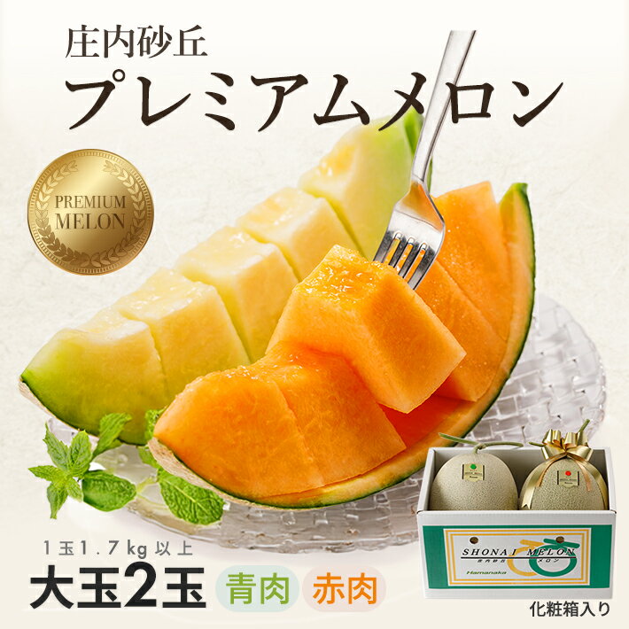 庄内砂丘プレミアムメロン 大玉 青肉メロン・赤肉メロン 各1玉 1.7kg以上 計2玉 3.4kg以上 2026年7月上旬〜8月上旬頃お届け ※着日指定不可 夏 果物 フルーツ メロン 青 赤 セット 詰合せ 東北 山形県 酒田市 庄内 庄内砂丘 砂丘メロン 農協 JA 直送 化粧箱