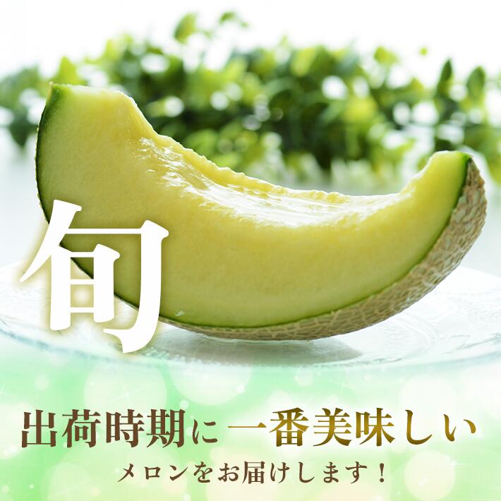 【ふるさと納税】庄内砂丘プレミアムメロン 大玉 青肉メロン・赤肉メロン 各1玉 1.7kg以上 計2玉 3.4kg以上 2026年7月上旬〜8月上旬頃お届け ※着日指定不可 夏 果物 フルーツ メロン 青 赤 セット 詰合せ 東北 山形県 酒田市 庄内 庄内砂丘 砂丘メロン 農協 JA 直送 化粧箱 - 画像3