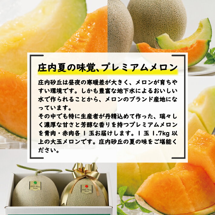 【ふるさと納税】≪3回定期便≫ 酒田の季節のフルーツ頒布会Bコース2026 7月上旬〜8月上旬:プレミアムメロン 8月下旬～10月上旬:刈屋梨(和梨) 11月上旬〜11月下旬:ラ・フランス ※着日指定不可 果物 くだもの JA 農協 産地直送 なし 西洋梨 山形県 酒田市 夏 秋 冬 サムネイル3