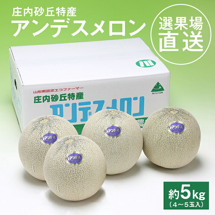 選果場からの直送メロン アンデスメロン 約5kg 4〜5玉入り 6月下旬〜7月下旬頃お届け ※着日指定不可 夏 青肉メロン 果物 フルーツ 庄内砂丘メロン JA 農協 直送 東北 山形県 酒田市 庄内
