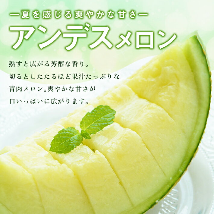 【ふるさと納税】選果場からの直送メロン アンデスメロン 約5kg 4〜5玉入り 6月下旬〜7月下旬頃お届け ※着日指定不可 夏 青肉メロン 果物 フルーツ 庄内砂丘メロン JA 農協 直送 東北 山形県 酒田市 庄内 - 画像3
