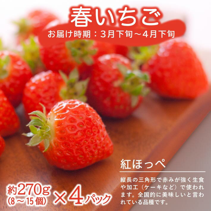 【ふるさと納税】≪3回定期便≫ 農家直送 こだわりのフルーツ定期便2026 いちご：3月下旬〜4月下旬 メロン：6月下旬〜7月中旬 いちじく：7月下旬〜8月下旬 計3回 ※離島発送・着日指定不可 頒布会 果物 くだもの イチゴ 苺 イチジク 産地直送 セット 東北 山形県 酒田市 庄内 サムネイル2