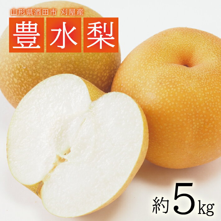 豊水梨 約5kg 10〜16玉入 山形県酒田市刈屋産 9月中旬〜10月上旬頃お届け ※着日指定不可 なし ナシ 和梨 刈屋梨 秋 果物 フルーツ 東北 山形県 酒田市 庄内