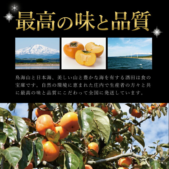 【ふるさと納税】庄内柿 約5kg 26玉入 種無し柿 10月下旬〜11月中旬頃お届け ※着日指定不可 秋 カキ かき 平核無柿 果物 フルーツ 東北 山形県 酒田市 庄内 サムネイル2
