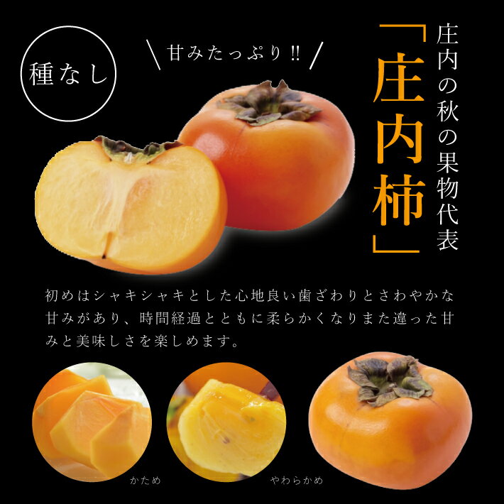 【ふるさと納税】庄内柿 約5kg 26玉入 種無し柿 10月下旬〜11月中旬頃お届け ※着日指定不可 秋 カキ かき 平核無柿 果物 フルーツ 東北 山形県 酒田市 庄内 サムネイル3