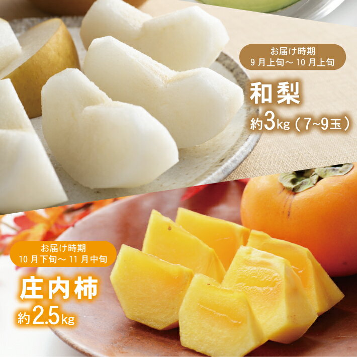 【ふるさと納税】≪3回定期便≫ 酒田のくだもの定期便2026 6月下旬〜7月中旬「浜王メロン」 9月上旬〜10月上旬「刈屋産和梨」 10月下旬〜11月中旬「庄内柿」 計3回 山形県酒田産 ※着日指定不可 頒布会 果物 フルーツ メロン 刈屋梨 なし ナシ たねなし柿 種無し柿 サムネイル3