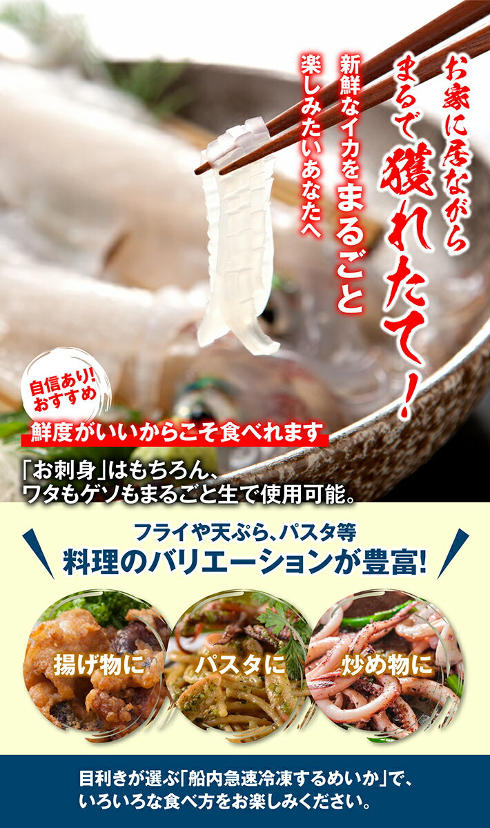 【ふるさと納税】船内急速冷凍するめいか 2尾×4袋 計8尾 冷凍便 ※離島発送不可 いか イカ 海鮮 海の幸 小分け 旬 春 夏 秋 冬 初夏 新鮮 鮮度抜群 刺身 塩辛 フライ 煮物 姿焼き げそ ゲソ 船凍イカ サムネイル3