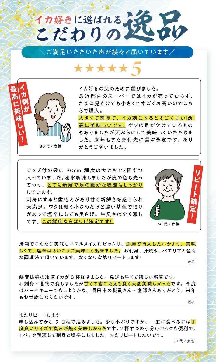 【ふるさと納税】船内急速冷凍するめいか 2尾×4袋 計8尾 冷凍便 ※離島発送不可 いか イカ 海鮮 海の幸 小分け 旬 春 夏 秋 冬 初夏 新鮮 鮮度抜群 刺身 塩辛 フライ 煮物 姿焼き げそ ゲソ 船凍イカ サムネイル2