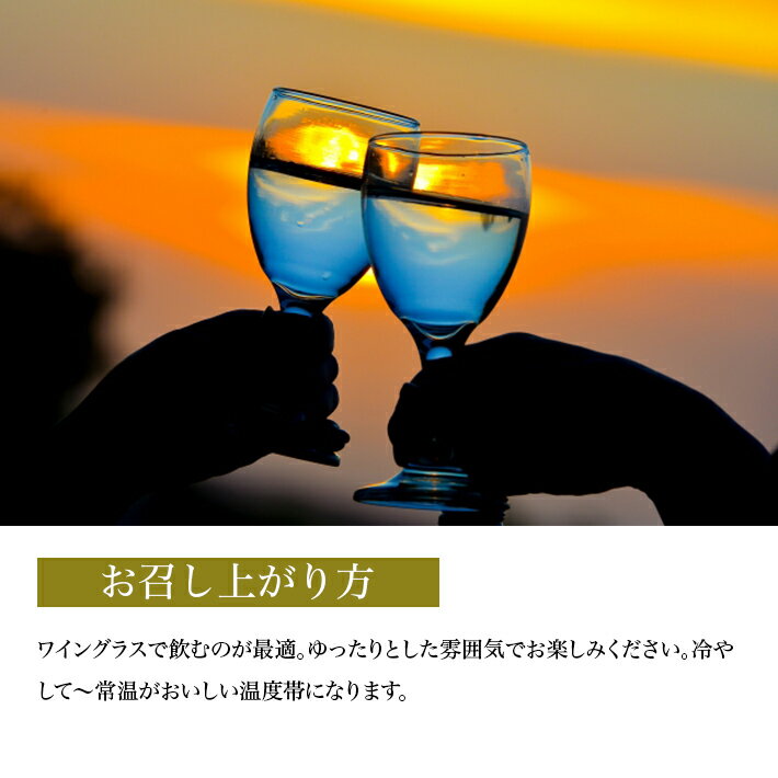 【ふるさと納税】初孫 純米吟醸 いなほ 720ml 化粧箱入り 純米吟醸酒 生酛 生もと 日本酒 清酒 酒 東北銘醸 東北 山形県 酒田市 庄内 サムネイル3