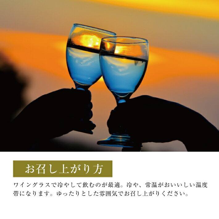 【ふるさと納税】 生酛 生詰め 初孫 港月 （こうげつ） 720ml×2本 庄内地区限定 冷蔵便 ※着日指定・離島発送不可 日本酒 酒 東北銘醸 東北 山形県 酒田市 庄内 限定 サムネイル3