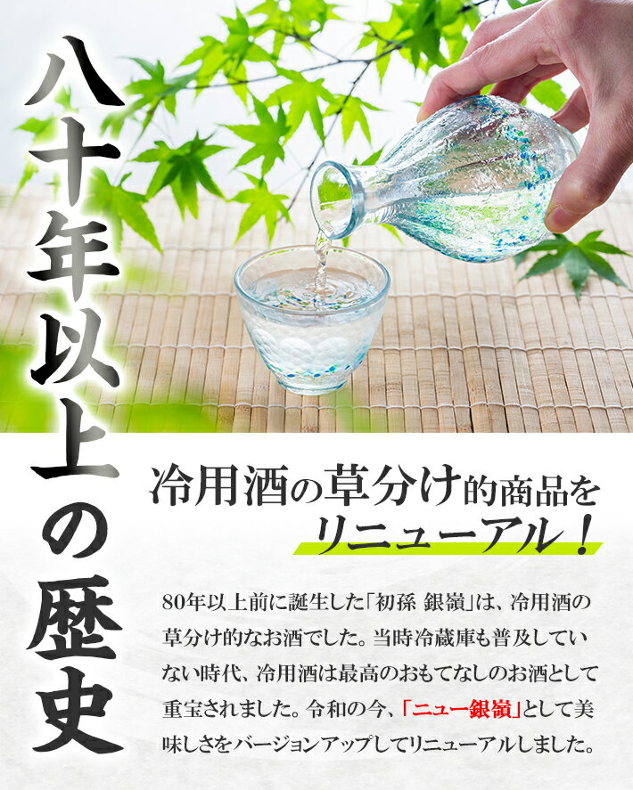 【ふるさと納税】初孫 出羽の里 純米 ニュー銀嶺セット 300ml×5本 化粧箱入り 日本酒 酒 冷用酒 冷酒 純米酒 生酛 生もと 東北銘醸 東北 山形県 酒田市 庄内 サムネイル2