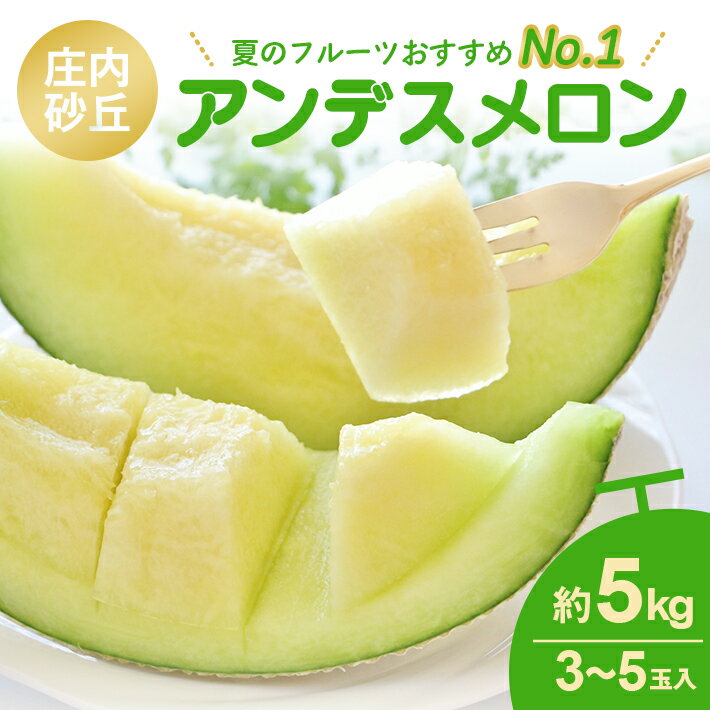 庄内砂丘 アンデスメロン 3～5玉 約5kg 6月中旬〜7月下旬頃お届け ※着日指定不可 メロン 青肉メロン 庄内砂丘メロン 緑 夏 果物 フルーツ くだもの 旬 東北 山形県 酒田市 庄内