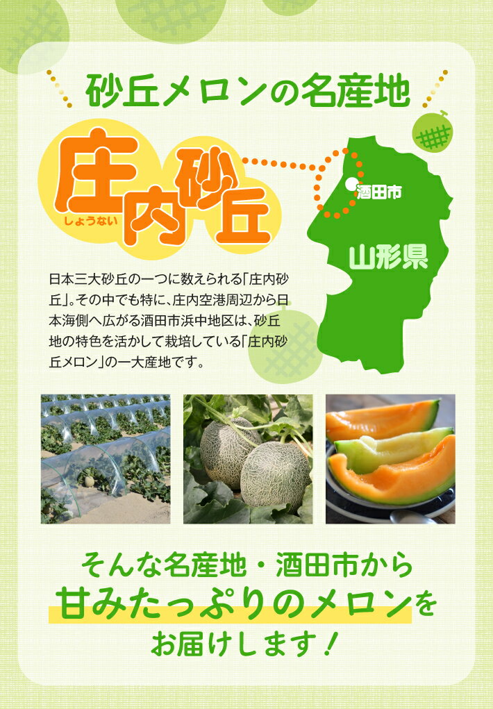【ふるさと納税】庄内砂丘 アンデスメロン 3～5玉 約5kg 6月中旬〜7月下旬頃お届け ※着日指定不可 メロン 青肉メロン 庄内砂丘メロン 緑 夏 果物 フルーツ くだもの 旬 東北 山形県 酒田市 庄内 - 画像3
