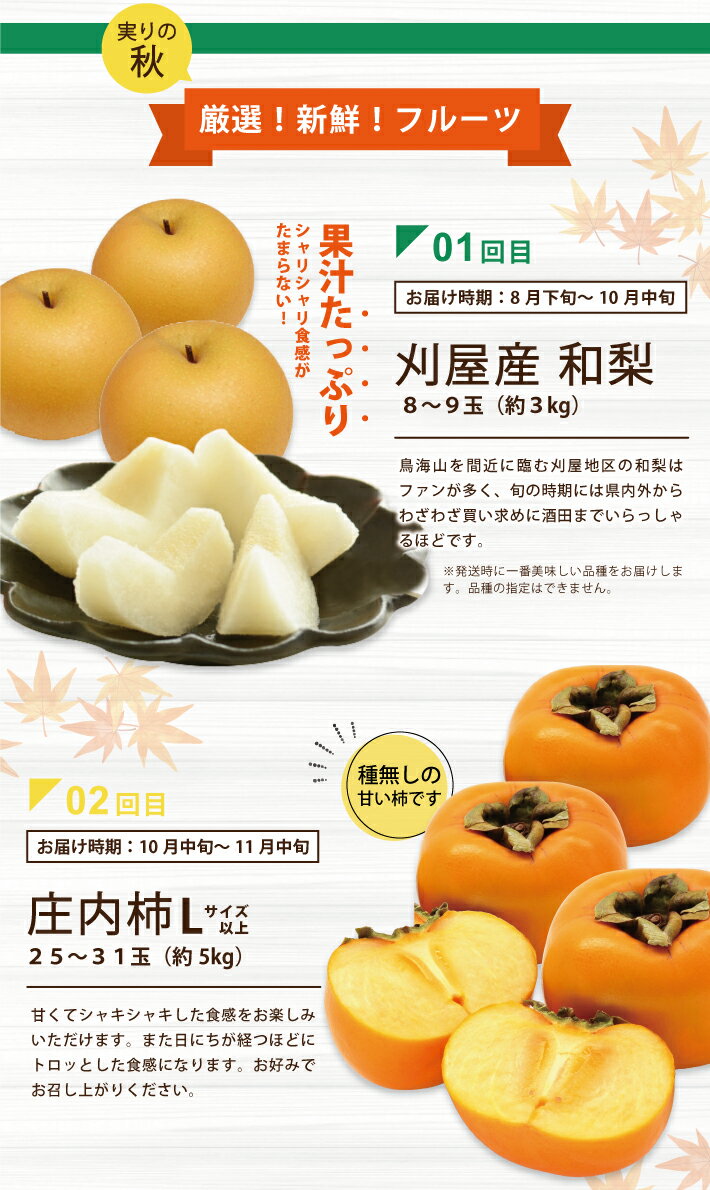 【ふるさと納税】≪3回定期便≫ 酒田から秋のフルーツ定期便2026 8月下旬〜10月中旬：刈屋梨 10月中旬～11月中旬：庄内柿 11月上旬〜12月中旬：ラ・フランス ※着日指定不可 定期便 頒布会 果物 くだもの フルーツ なし ナシ かき カキ 種無し 東北 山形県 酒田市 庄内 秋 旬 サムネイル3