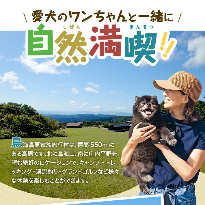 【ふるさと納税】鳥海高原家族旅行村 ワンちゃんと一緒にケビン宿泊券 1泊 定員4名様+ワンちゃん1匹 1枚 チケット ペット同伴可 犬 旅行 キャンプ トレッキング 渓流釣り グランドゴルフ アウトドア レンタル 子ども 鳥海山 東北 山形県 酒田市 庄内地方 サムネイル2