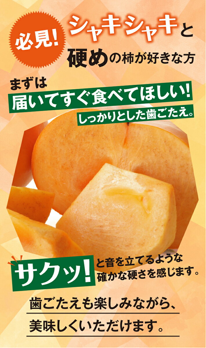 【ふるさと納税】庄内柿 平核無柿 L～2Lサイズ 32～36玉入り 約7.5kg 10月中旬〜11月中旬頃お届け ※着日指定不可 東北 山形県 酒田市 庄内地方 柿 かき カキ 種無し柿 種なし柿 農協 JA 産地直送 果物 くだもの フルーツ 秋 旬 サムネイル2
