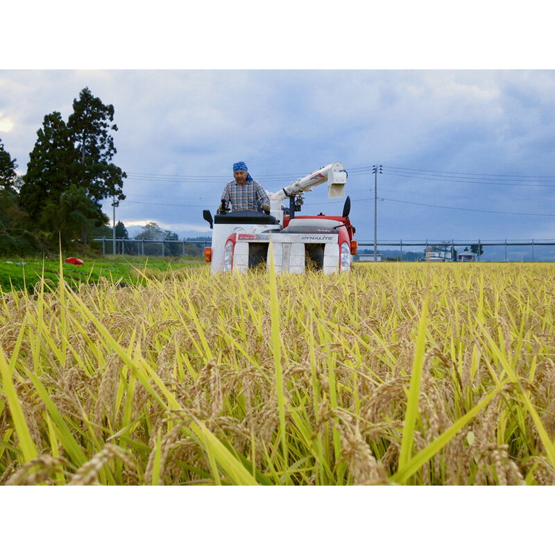 【ふるさと納税】 【先行予約】令和7年産 よっしーの「つや姫」さまeco (精米）5kg 米 お米 おこめ 山形県 新庄市 F3S-2494 - 画像3