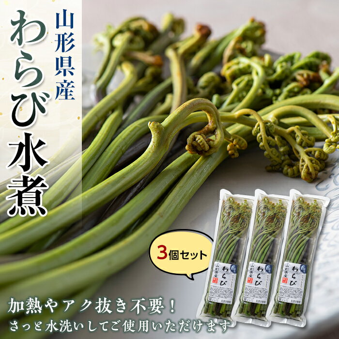 山形県産わらび水煮 3個セット 山菜 無漂白 無着色 わらび 水煮 みそ汁 煮物 おひたし 炊き込みご飯 東北 F3S-1325
