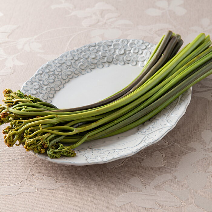 【ふるさと納税】山形県産わらび水煮 3個セット 山菜 無漂白 無着色 わらび 水煮 みそ汁 煮物 おひたし 炊き込みご飯 東北 F3S-1325 - 画像2