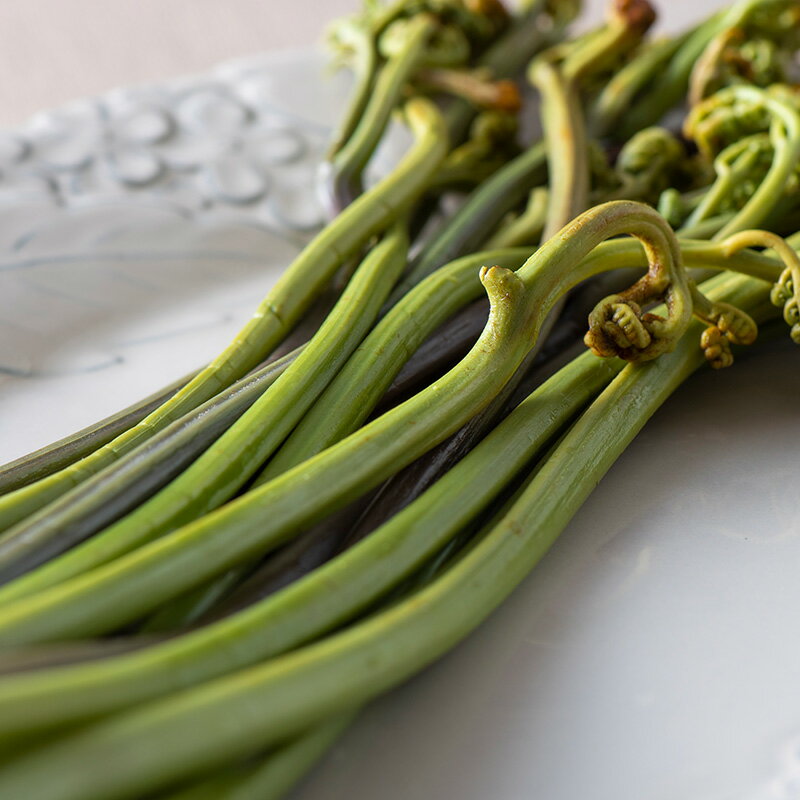 【ふるさと納税】【旬彩工房】山形県産わらび一本漬け風（醤油漬け）＆水煮セット F3S-1445 - 画像3