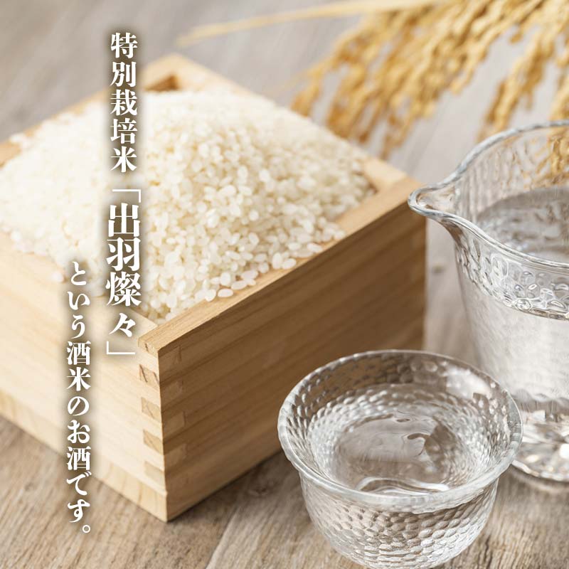 【ふるさと納税】【新庄市×金山町 共通返礼品】純米吟醸酒とわらび一本漬け F3S-1916 サムネイル3