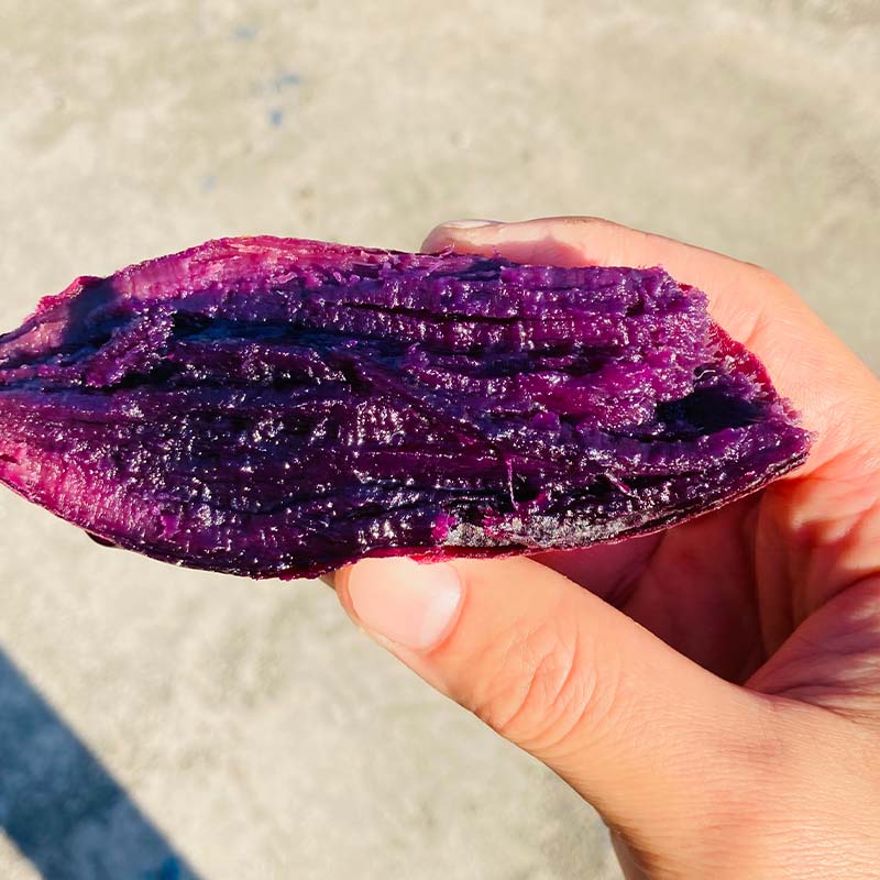 【ふるさと納税】 栽培期間中、農薬・化学肥料不使用 もちもち甘〜い『ふくむらさき』サイズ 大〜小混合 5kg さつまいも サツマイモ 山形県 新庄市 F3S-2641 - 画像3