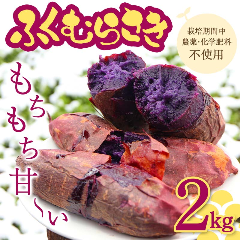 栽培期間中、農薬・化学肥料不使用 もちもち甘〜い『ふくむらさき』 小〜大混合 2kg さつまいも サツマイモ F3S-2638