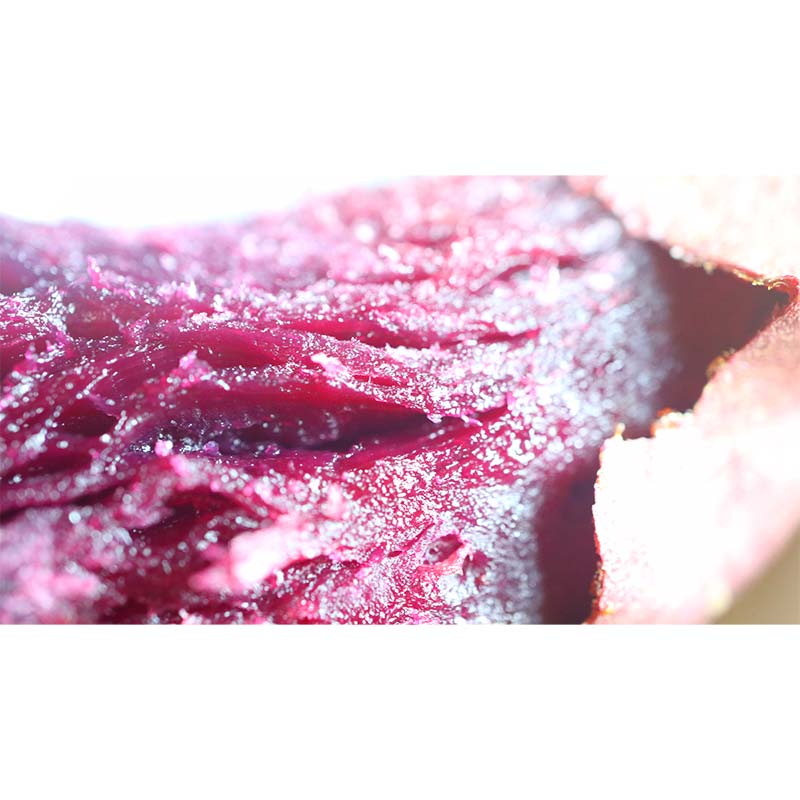 【ふるさと納税】 栽培期間中、農薬・化学肥料不使用『小芋セレクション ふくむらさき』5kg さつまいも サツマイモ 芋 F3S-2640 - 画像3