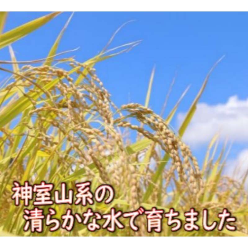 【ふるさと納税】 【令和7年産】 山形県産 はえぬき 玄米 5kg 米 コメ こめ F3S-2698 - 画像3