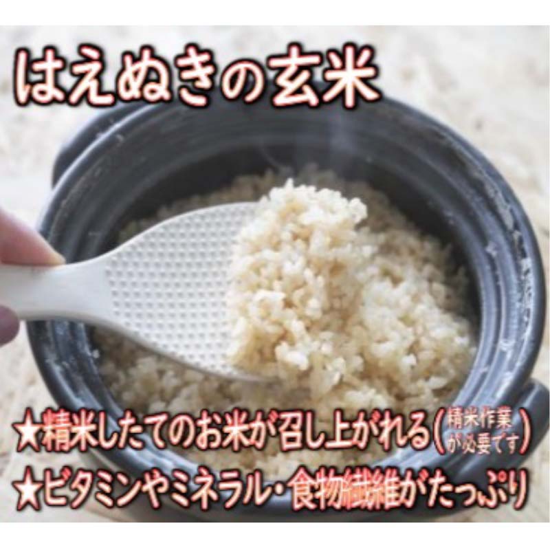 【ふるさと納税】 【令和7年産】 山形県産 はえぬき 玄米 5kg 米 コメ こめ F3S-2698 - 画像2
