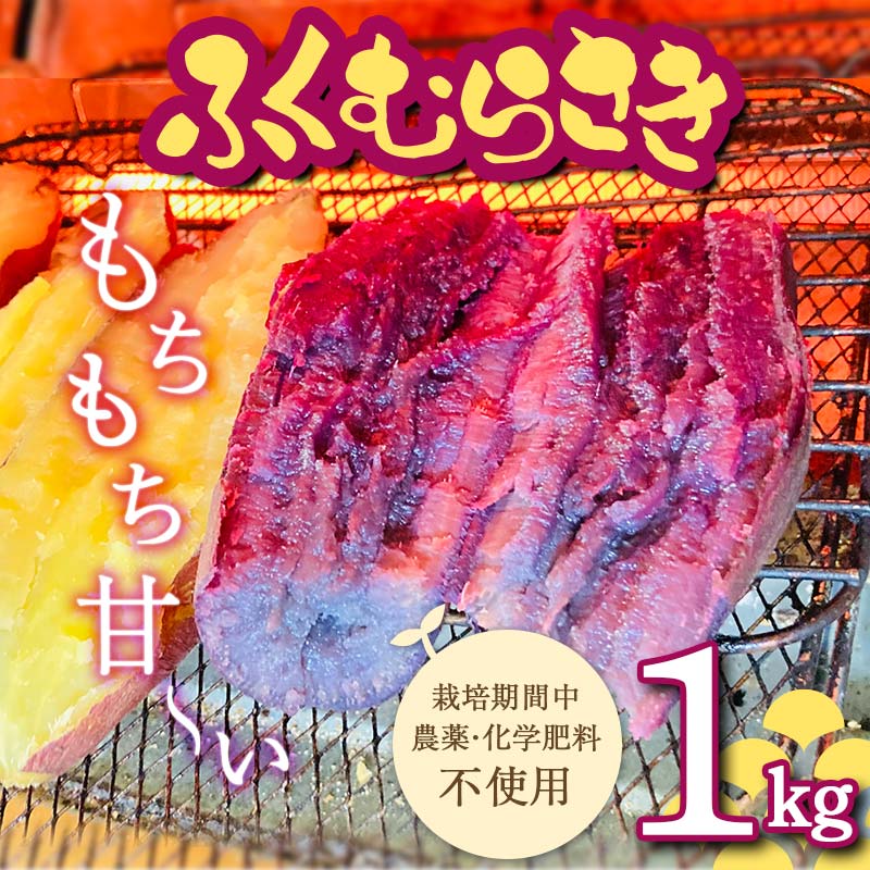 ＜2026年秋収穫分 先行予約＞ 栽培期間中、農薬・化学肥料不使用 もちもち甘〜い『ふくむらさき』1kg（3〜5本） さつまいも サツマイモ F3S-2616
