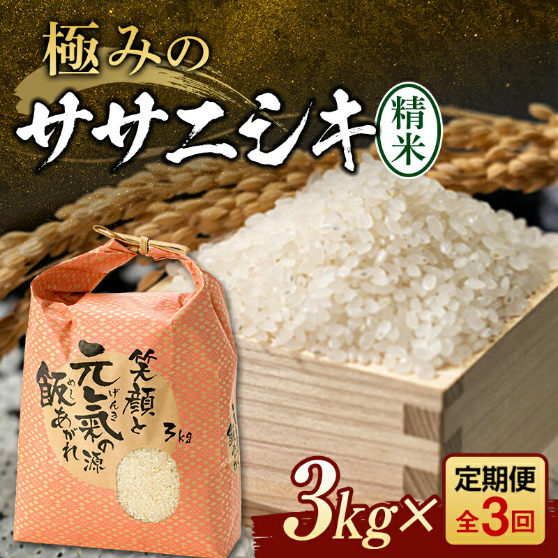 定期便 全3回 極みのササニシキ（精米）3kg 米 お米 おこめ ふるさと納税 山形県 新庄市 F3S-2387