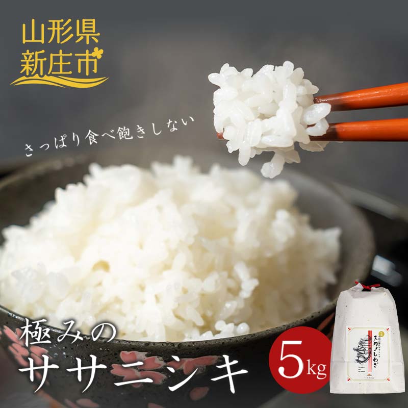 極みのササニシキ（精米） 5kg 米 お米 おこめ 山形県 新庄市 F3S-2431