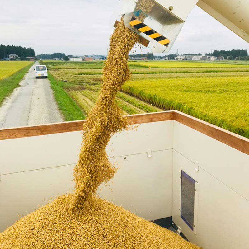 【ふるさと納税】 極みのササニシキ（精米） 5kg 米 お米 おこめ 山形県 新庄市 F3S-2431 - 画像3