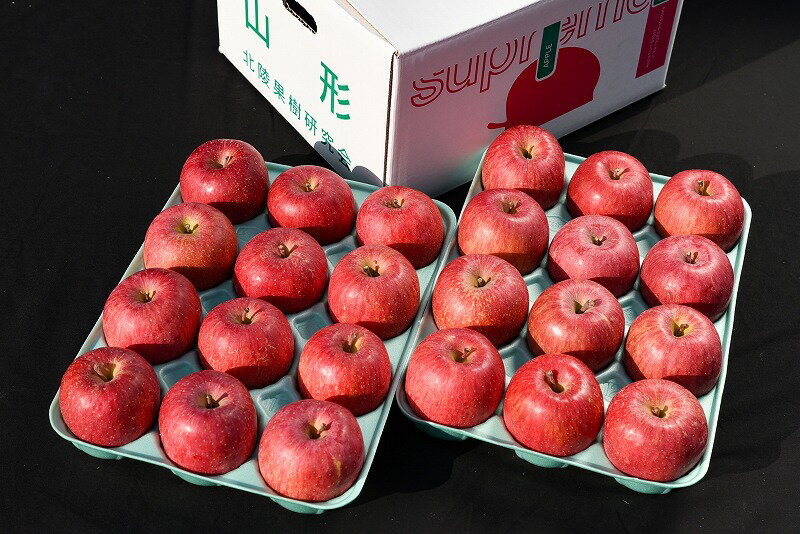 【ふるさと納税】りんご「サンふじ」秀品 5kg（24玉）ご自宅用 小玉サイズ 【2025年12月上旬頃〜下旬頃発送予定】／ お取り寄せ ご当地 特産 産地直送 果物 フルーツ 林檎 リンゴ 小ぶり 小さめ 果物 東北 2025年産 令和7年産 山形県産 5キロ サムネイル2