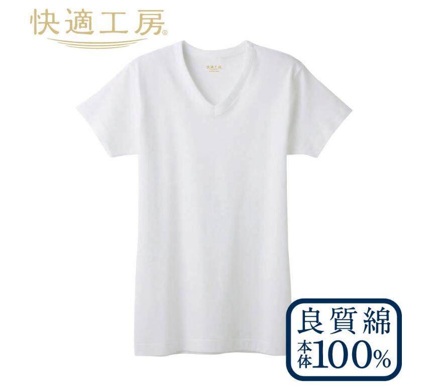 【ふるさと納税】GUNZE 肌着 半袖 男性用 3枚セット 【快適工房】 グンゼ メンズ サムネイル2