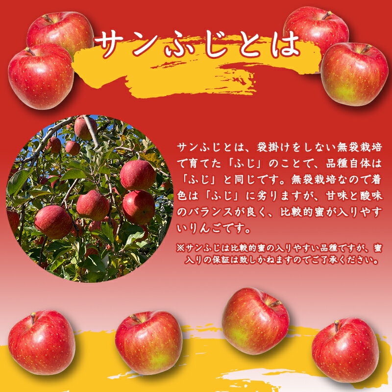 【ふるさと納税】こだわり農家の 有機質肥料栽培 りんご 3kg 秀品 「サンふじ」（7〜9玉） 【2025年11月頃より順次発送予定】 ／ お取り寄せ ご当地 特産 産地直送 果物 フルーツ 新鮮 季節 林檎 デザート おやつ 2025年産 令和7年産 東北 山形県産 山形産 3キロ サムネイル3