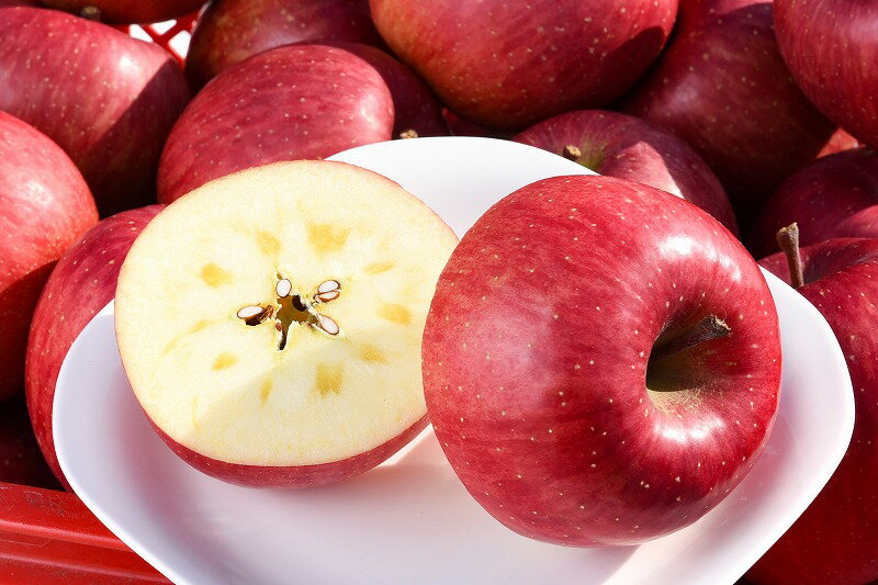 【ふるさと納税】令和7年産 樹上完熟りんご「サンふじ」特秀品 5kg（14〜18玉） 2025年産 山形県産 【2025年12月上旬頃〜下旬頃発送予定】 お取り寄せ ご当地 特産 産地直送 果物 フルーツ 林檎 リンゴ デザート おやつ 製菓 東北 5キロ サムネイル3