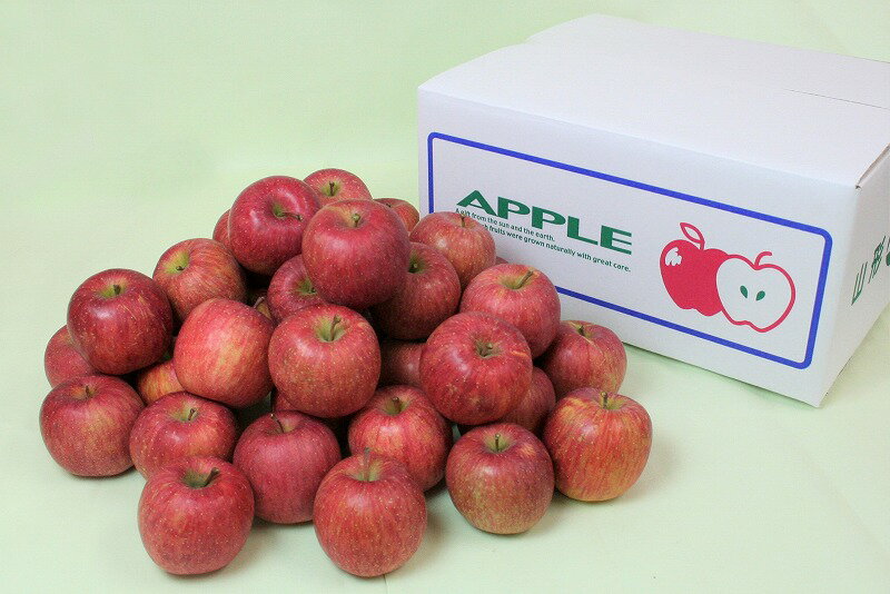 【ふるさと納税】小玉りんご「サンふじ」5kg - 10kg 秀品 【2026年1月上旬頃〜下旬頃発送予定】 ／ 選べる 量 お取り寄せ ご当地 特産 果物 フルーツ くだもの リンゴ 旬 林檎 食べきり 甘い 5キロ 10キロ 2025年産 令和7年産 東北 山形県 サムネイル2